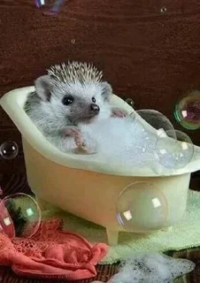 🛁 emoji Їжачок творець @yogik_yo Telegram sticker 17 of 39