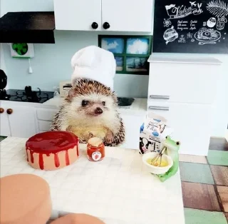 👩‍🍳 emoji Їжачок творець @yogik_yo Telegram sticker 20 of 39