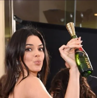🥂 emoji Kendall&Hailey Telegram sticker 22 of 91