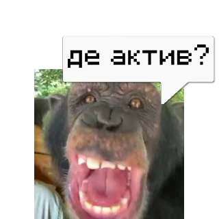 💬 emoji 🎥Tikhan @memocyteBot Telegram sticker 1 of 12