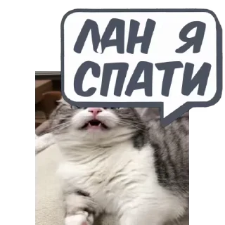 💬 emoji 🎥Tikhan @memocyteBot Telegram sticker 5 of 12