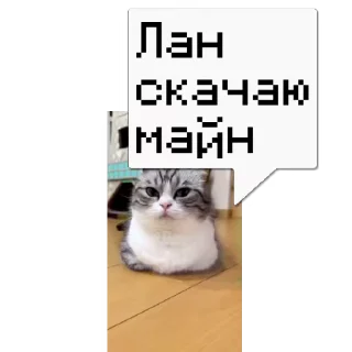 💬 emoji 🎥Tikhan @memocyteBot Telegram sticker 10 of 12
