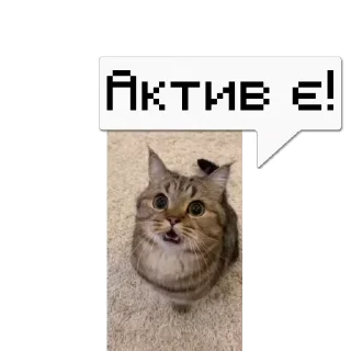 💬 emoji 🎥Tikhan @memocyteBot Telegram sticker 9 of 12