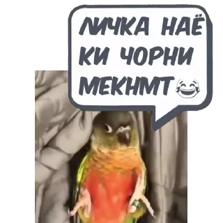 Sticker from 🎥ㅤ𝑼𝒎𝒆𝒅𝒋𝒂𝒏𝒕🐊