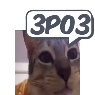 💬 emoji 🎥Tikhan @memocyteBot Telegram sticker 2 of 12