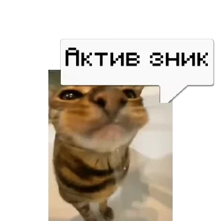 💬 emoji 🎥Tikhan @memocyteBot Telegram sticker 8 of 12