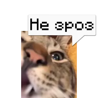 💬 emoji 🎥Tikhan @memocyteBot Telegram sticker 11 of 12