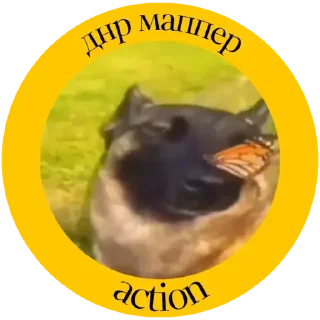 ✅ emoji Actions для группы Сандры 1 Telegram sticker 13 of 26