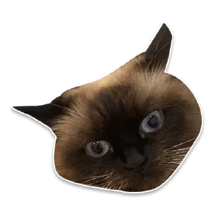 😳 emoji Наша семья ❤️ Telegram sticker 6 of 16