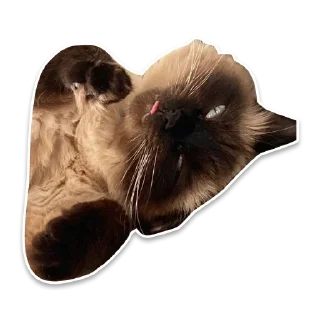 🙃 emoji Наша семья ❤️ Telegram sticker 3 of 16