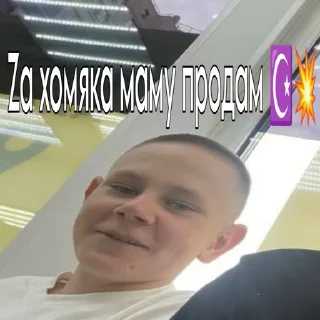 ☪ emoji Животные ракузан :: @gptVPNrbot Telegram sticker 9 of 23