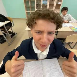 👍 emoji Животные ракузан :: @gptVPNrbot Telegram sticker 4 of 23