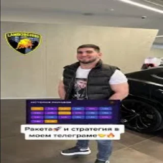🚀 emoji Животные ракузан :: @gptVPNrbot Telegram sticker 11 of 23