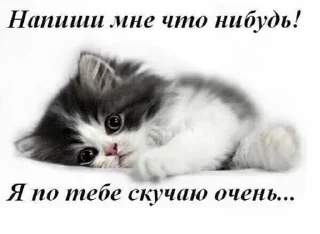 🌟 emoji Лучшие стикеры 👉 @stikery_tg1 Telegram sticker 10 of 120