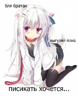 🐾 emoji Тянки какие то @Nikolayy_Gogol Telegram sticker 1 of 35