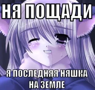 😭 emoji Тянки какие то @Nikolayy_Gogol Telegram sticker 21 of 35