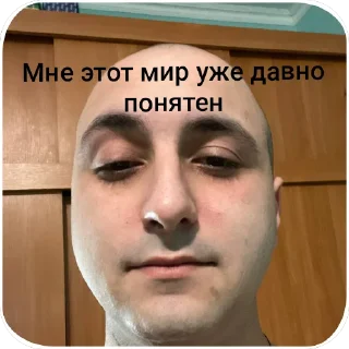 👍 emoji Шошо ➡️ @Ctikerubot Telegram sticker 2 of 120