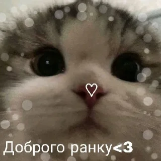 Sticker from підвал мемів