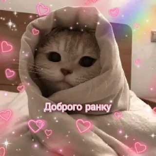 Sticker from підвал мемів