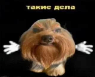 🤷 emoji Больше стикеров 👉🏻 @stickertg4 Telegram sticker 7 of 16