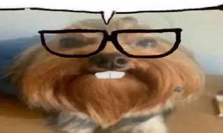 🤓 emoji Больше стикеров 👉🏻 @stickertg4 Telegram sticker 4 of 16
