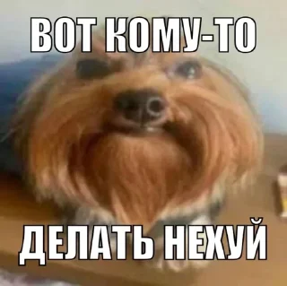 😨 emoji Больше стикеров 👉🏻 @stickertg4 Telegram sticker 3 of 16
