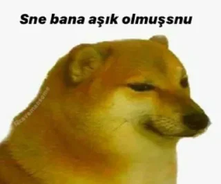 Sticker from @RevanHasimov @NeonUserBot Paketi 1