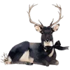 🌟 emoji 𝒅𝒂𝒓𝒌 𝒔𝒚𝒎𝒑𝒉𝒐𝒏𝒚 Telegram sticker 22 of 25