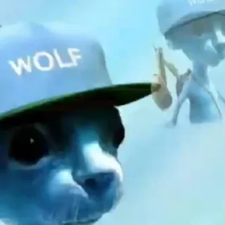 🤙 emoji Шайлушаи Telegram sticker 18 of 37