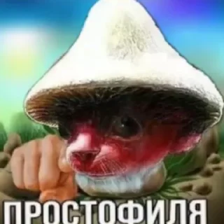 Sticker from Шайлушаи