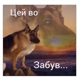 Sticker from Наші козаки
