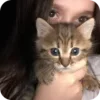 🌟 emoji юность Telegram sticker 6 of 49