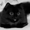 😧 emoji Егор Лебедев @X7R0N Telegram sticker 11 of 98