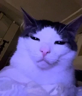 😒 emoji Cutecatssssssssssss Telegram sticker 19 of 55