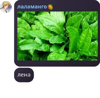 🇭🇺 emoji дарсики Telegram sticker 6 of 21