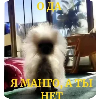 🐶 emoji Я ахуела pack by @QuotLyBot Telegram sticker 23 of 29