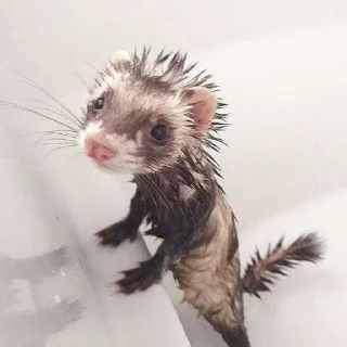 💦 emoji в монастырь Telegram sticker 19 of 120