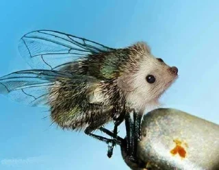 🦔 emoji в монастырь Telegram sticker 10 of 120