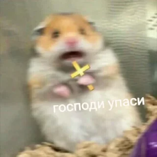 Sticker from Мэмчики