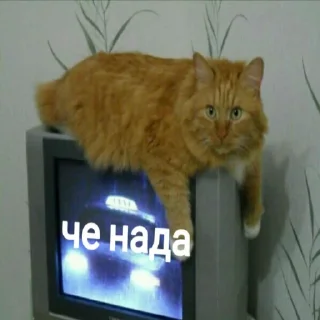 Sticker from Мэмчики
