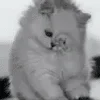 🙁 emoji ୨୧ Telegram sticker 5 of 64