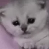 🙁 emoji ୨୧ Telegram sticker 6 of 64