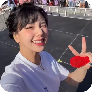 😉 emoji Chaeyoung @teahousewithcookies Telegram sticker 10 of 45