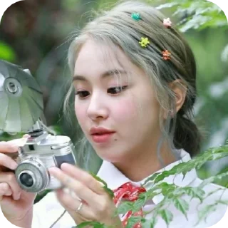 📷 emoji Chaeyoung @teahousewithcookies Telegram sticker 5 of 45