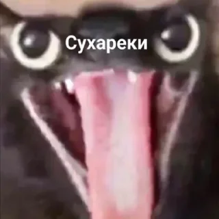😋 emoji VPN 👉 @gptVPNrbot Telegram sticker 11 of 120