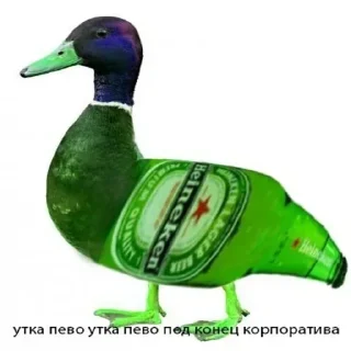 🦆 emoji VPN 👉 @gptVPNrbot Telegram sticker 21 of 120