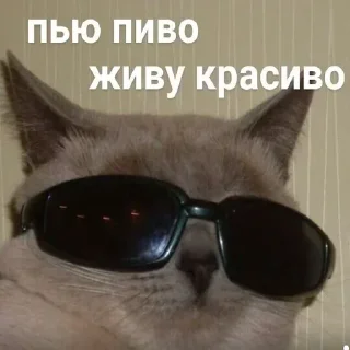 😎 emoji VPN 👉 @gptVPNrbot Telegram sticker 20 of 120