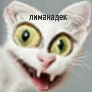 😋 emoji VPN 👉 @gptVPNrbot Telegram sticker 12 of 120