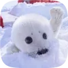 🦭 emoji Тюленчики от @xxhello_kittyx @TgEmodziBot Telegram sticker 13 of 65