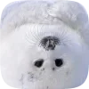 🦭 emoji Тюленчики от @xxhello_kittyx @TgEmodziBot Telegram sticker 15 of 65